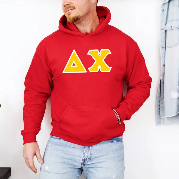 Delta Chi Greek Hoodie 1