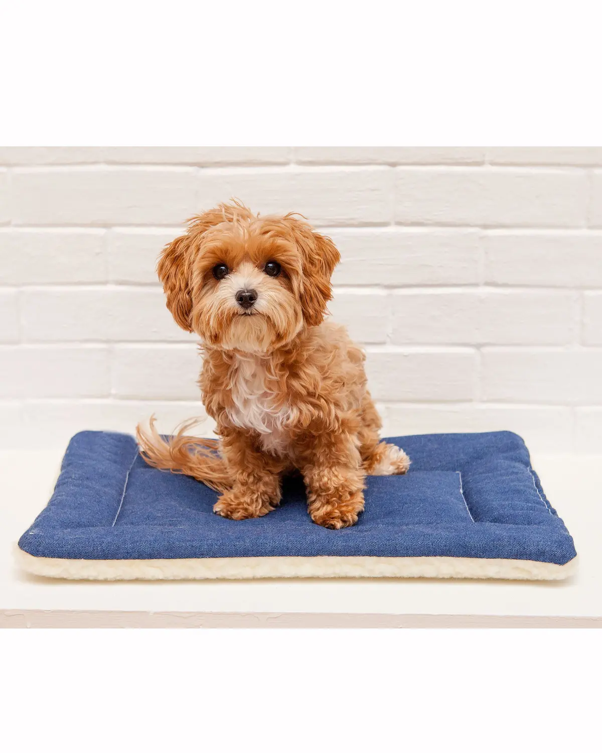 Blue Denim & Shearling Pet Napping Mat (Made In The Usa) 1