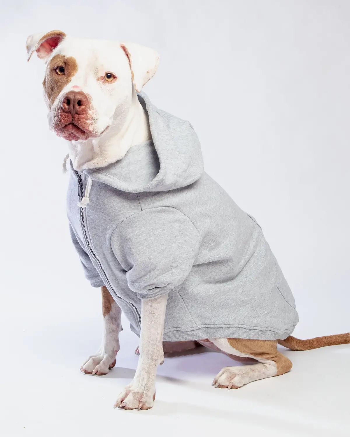 Light Grey Zip-Up Dog Hoodie << Final Sale >> 1