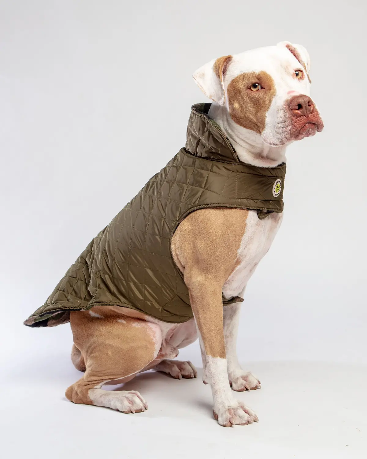 Reversible Camo Quilted Dog Coat << Final Sale >> 1