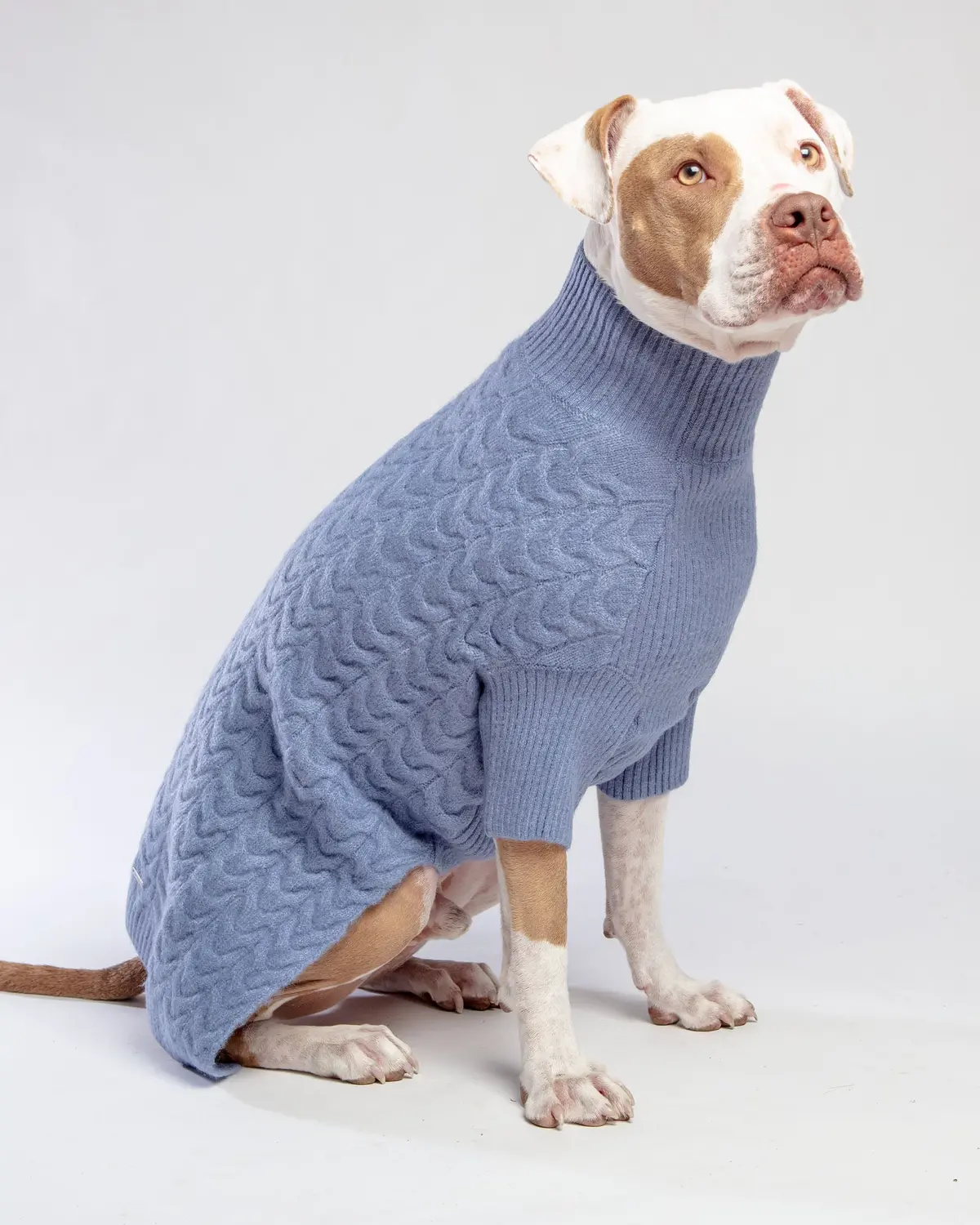 Fuzzy Knit Dog Turtleneck Sweater In Moonstone Blue << Clearance >> 1