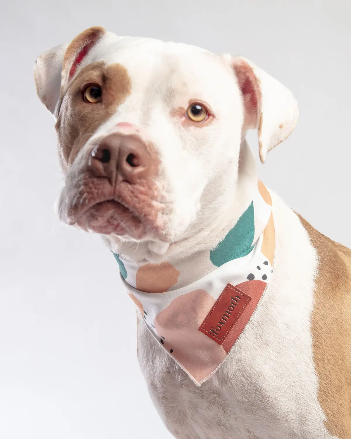 Abstract Boho Print Dog Bandana<Br>(Final Sale) 1