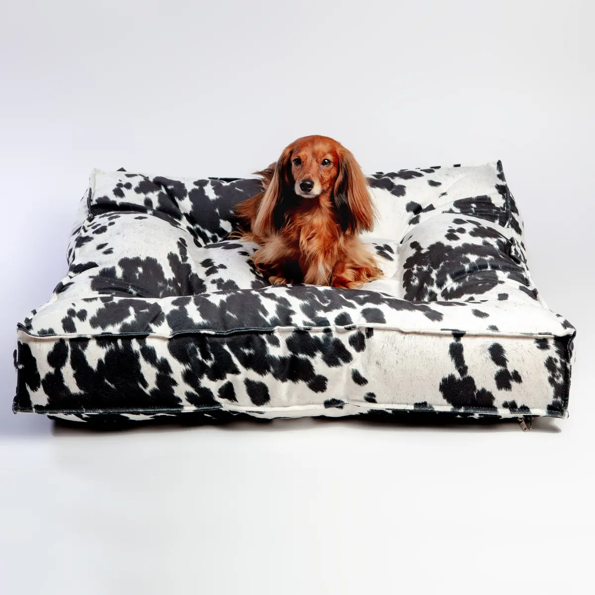 Piazza Dog Bed (Direct-Ship) 1