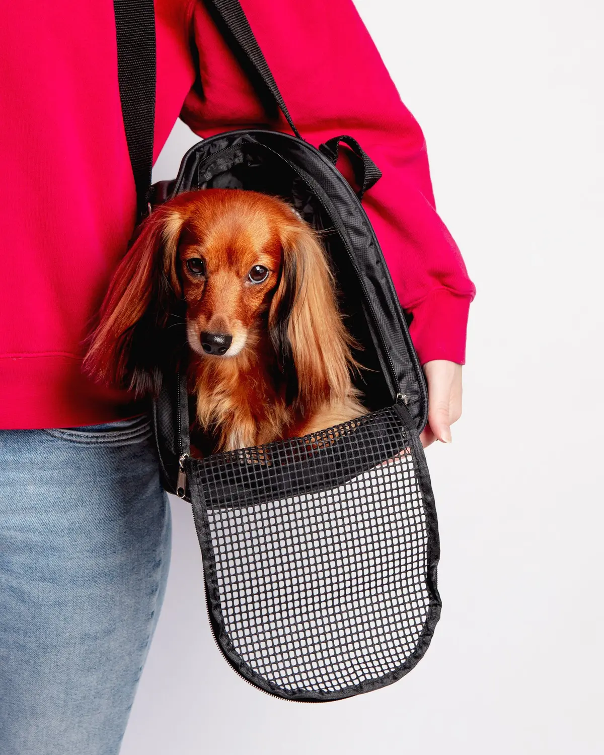 Jet Carrier Pet Carrier In Black (Airline Approved) (Final Sale) 1