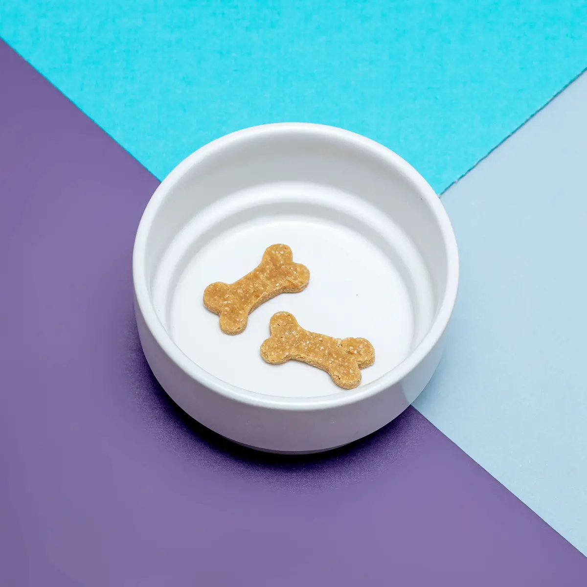 Stackable Ceramic Tiny Dog Bowl In White << Final Sale >> 1