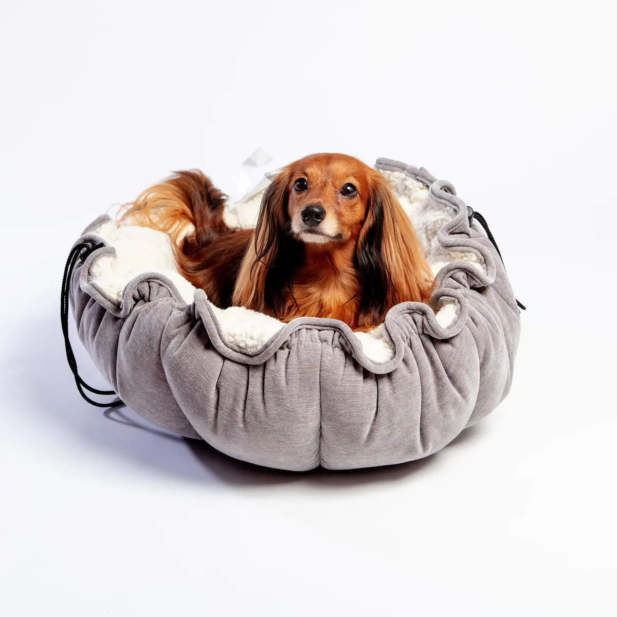 Buttercup Bed (Direct-Ship) 1