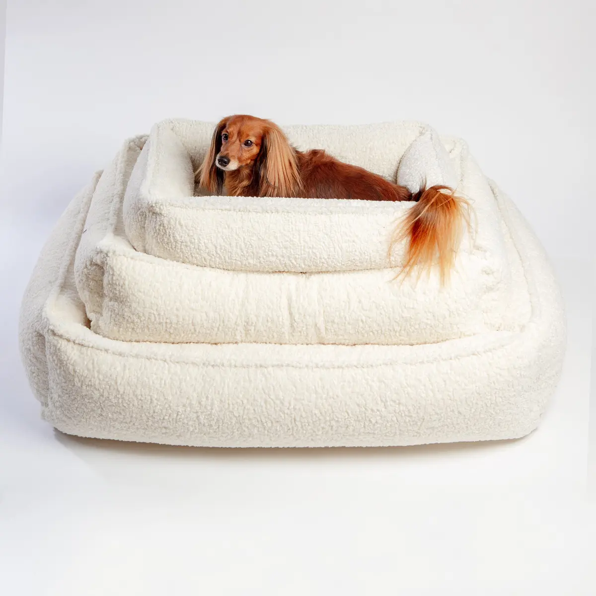 Urban Lounger Dog Bed In Ivory Sheepskin (In-Store) 1