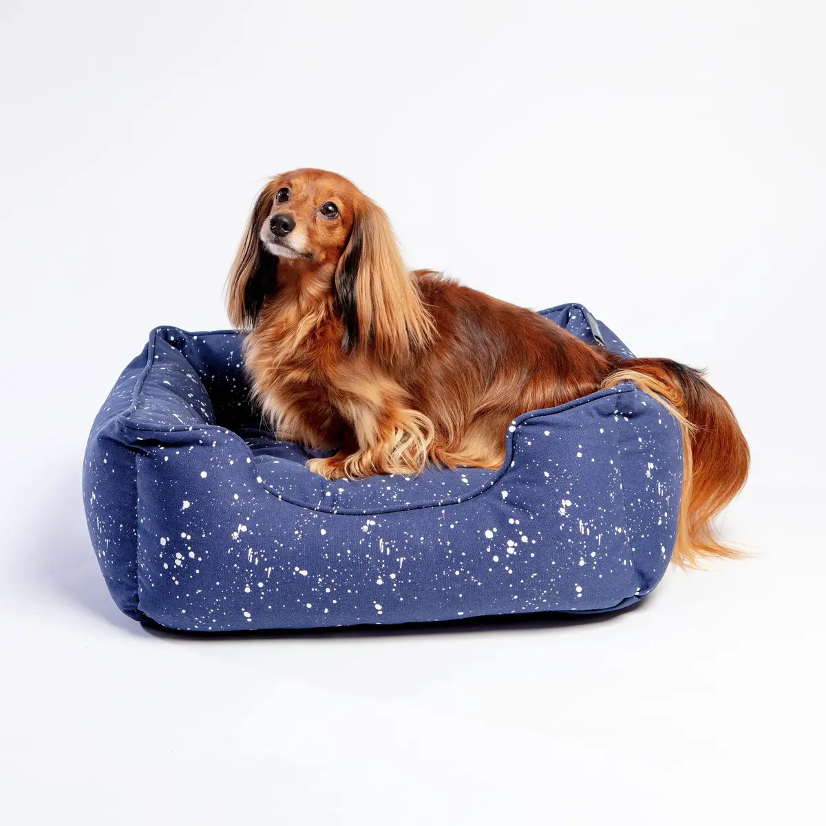 Orthopedic Pet Bed In Speckle Splatter 1