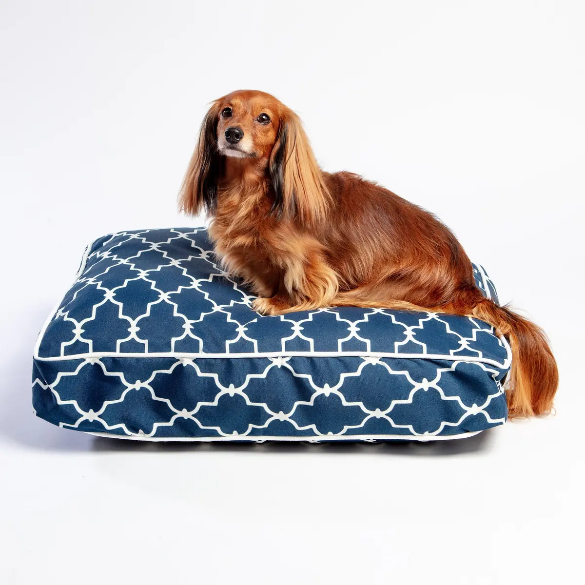 Pool & Patio Outdoor Dog Bed In Garden Gate Navy (Made In The Usa) << Final Sale >> 1