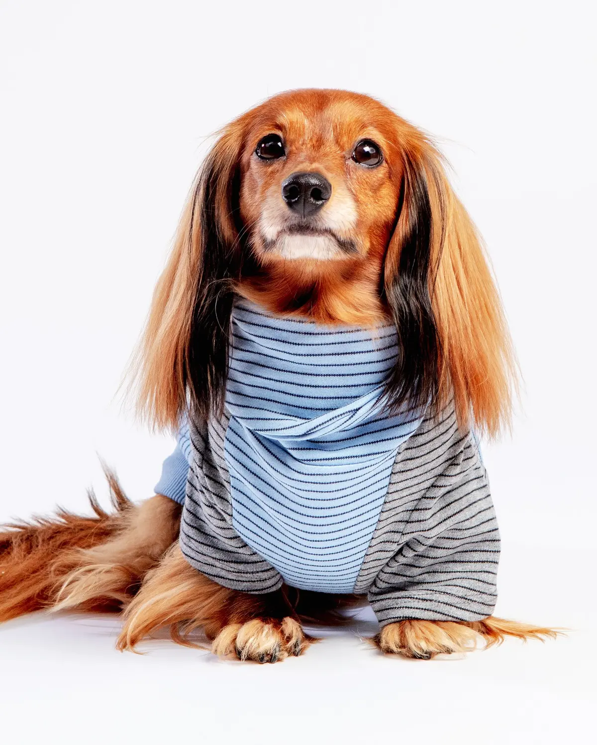 The Marlin Organic Cotton T-Shirt For Long Dogs (Made In The Usa) << Final Sale >> 1