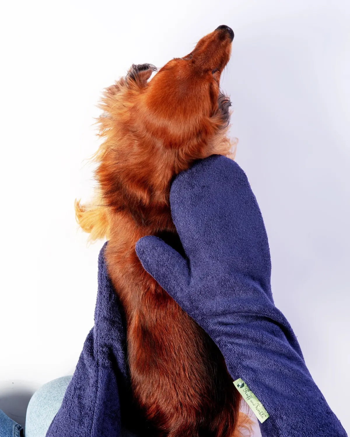 Dog Drying Mitts (Made In The Uk) 1
