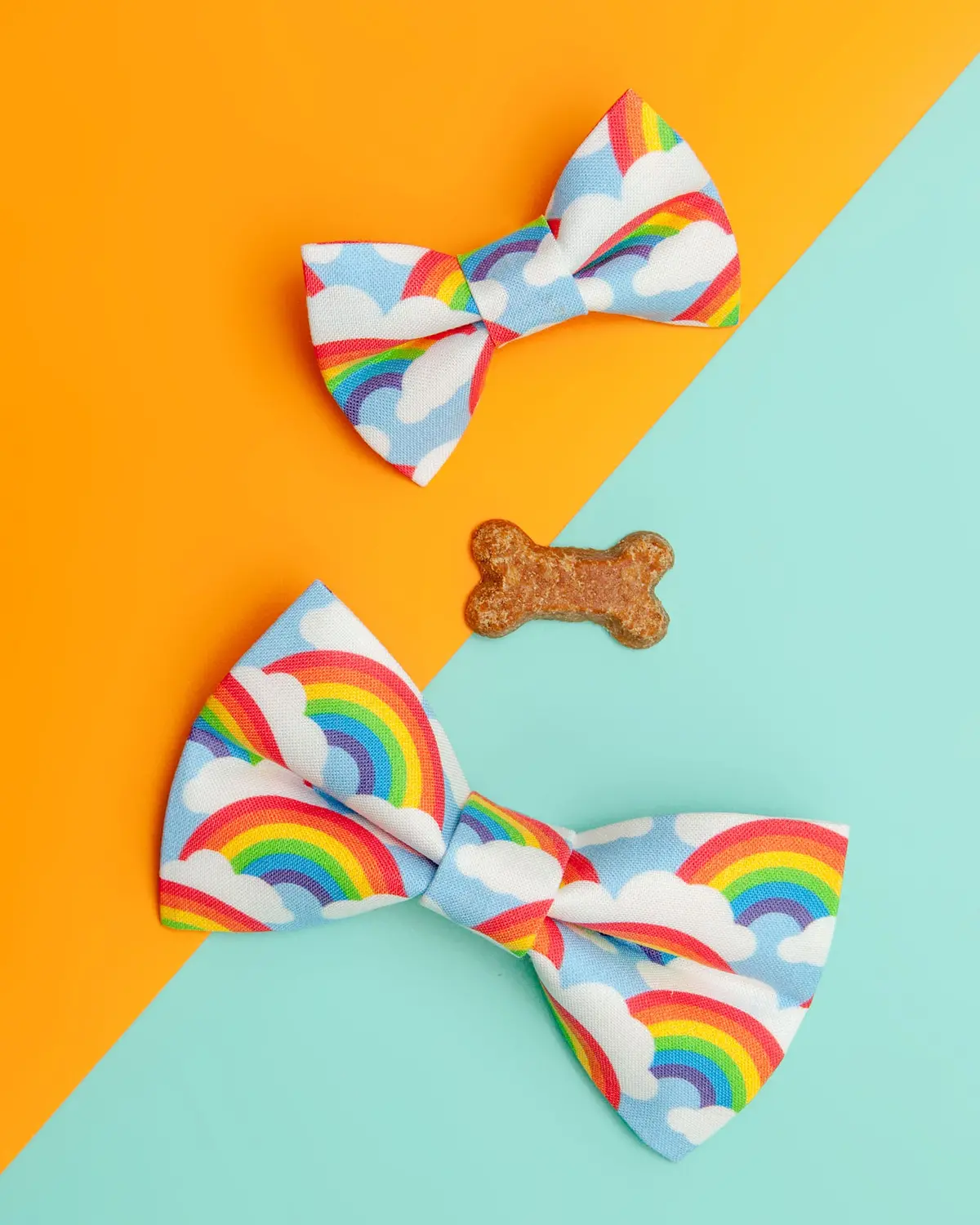 The Bright Side Rainbow Bow Tie 1