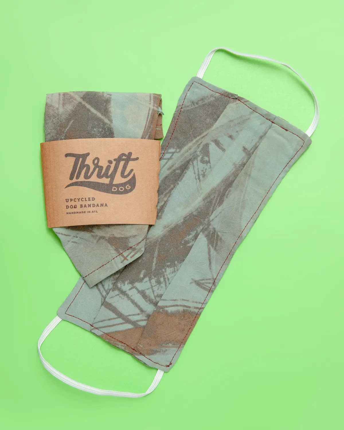 Face Mask & Dog Bandana Set In Mint Green 1