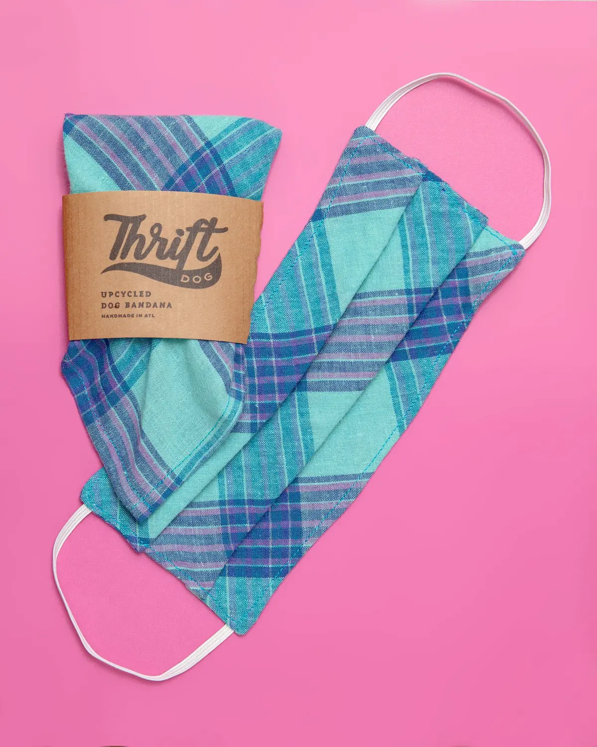 Face Mask & Dog Bandana Set In Teal Plaid 1