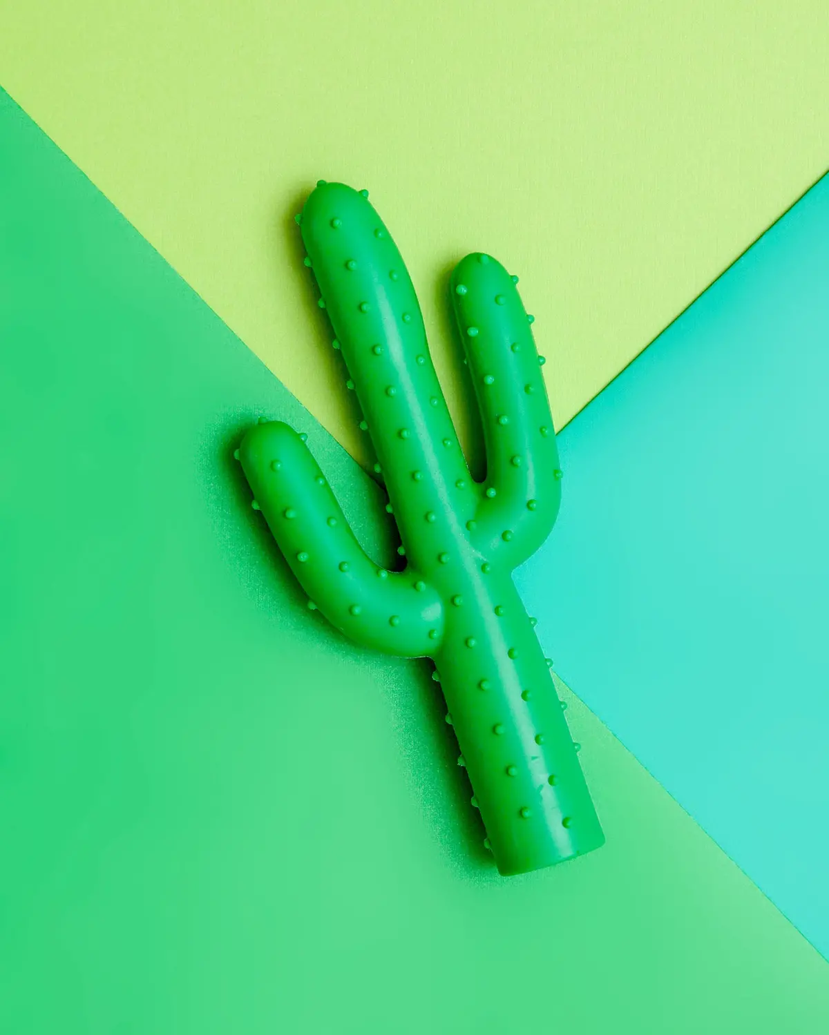 Silly Succulent Cactus Rubber Dog Toy 1