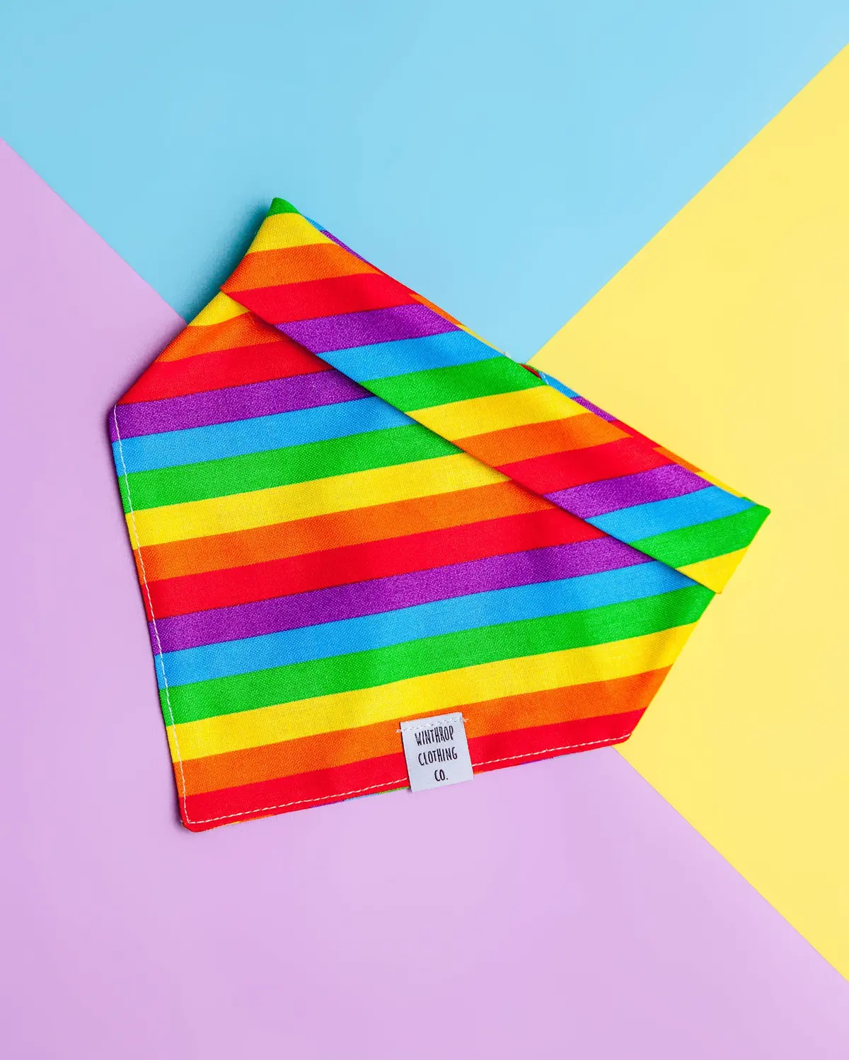 Snap-On Dog Bandana In Really Rainbow (Final Sale) 1