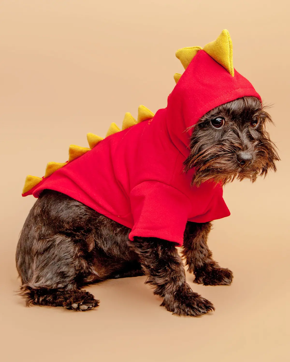 Doggie Dragon Sweatshirt 1