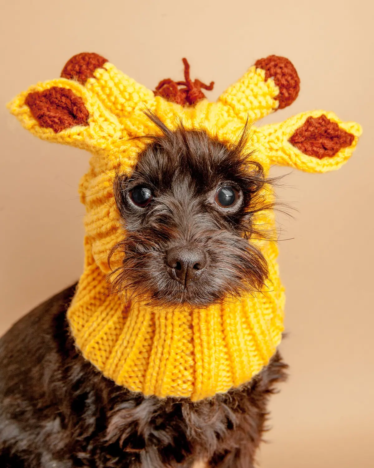 Knit Giraffe Dog Snood (Final Sale) 1