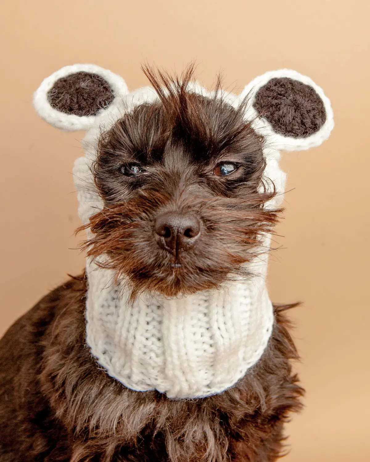 Knit Panda Dog Snood (Final Sale) 1