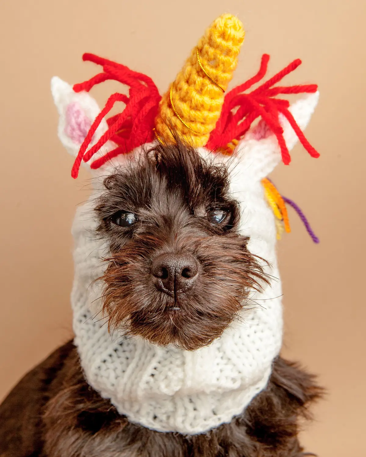 Knit Unicorn Dog Snood 1