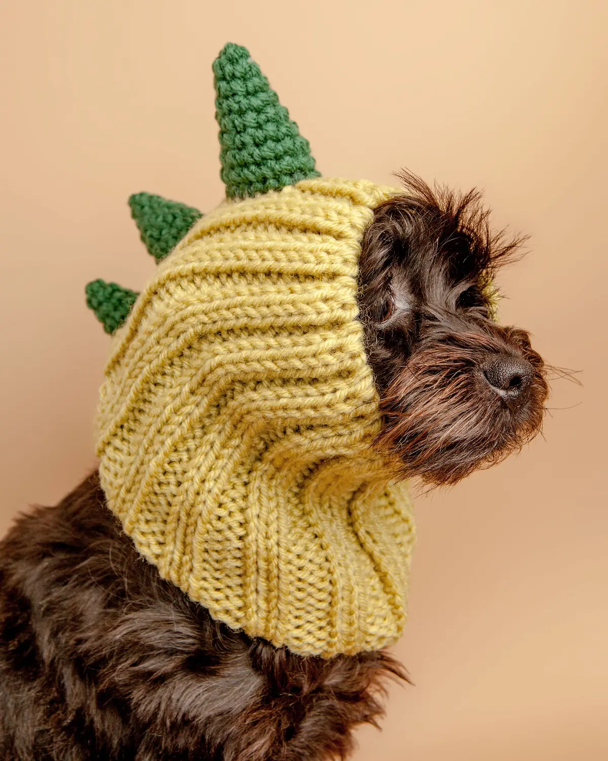 Knit Dinosaur Dog Snood (Final Sale) 1