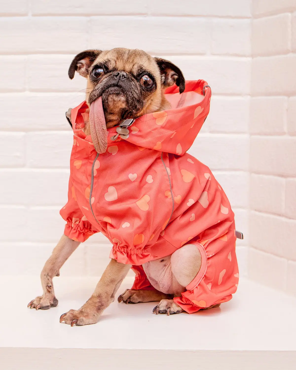 Reflective Dog Rainsuit In Pink Hearts << Final Sale >> 1