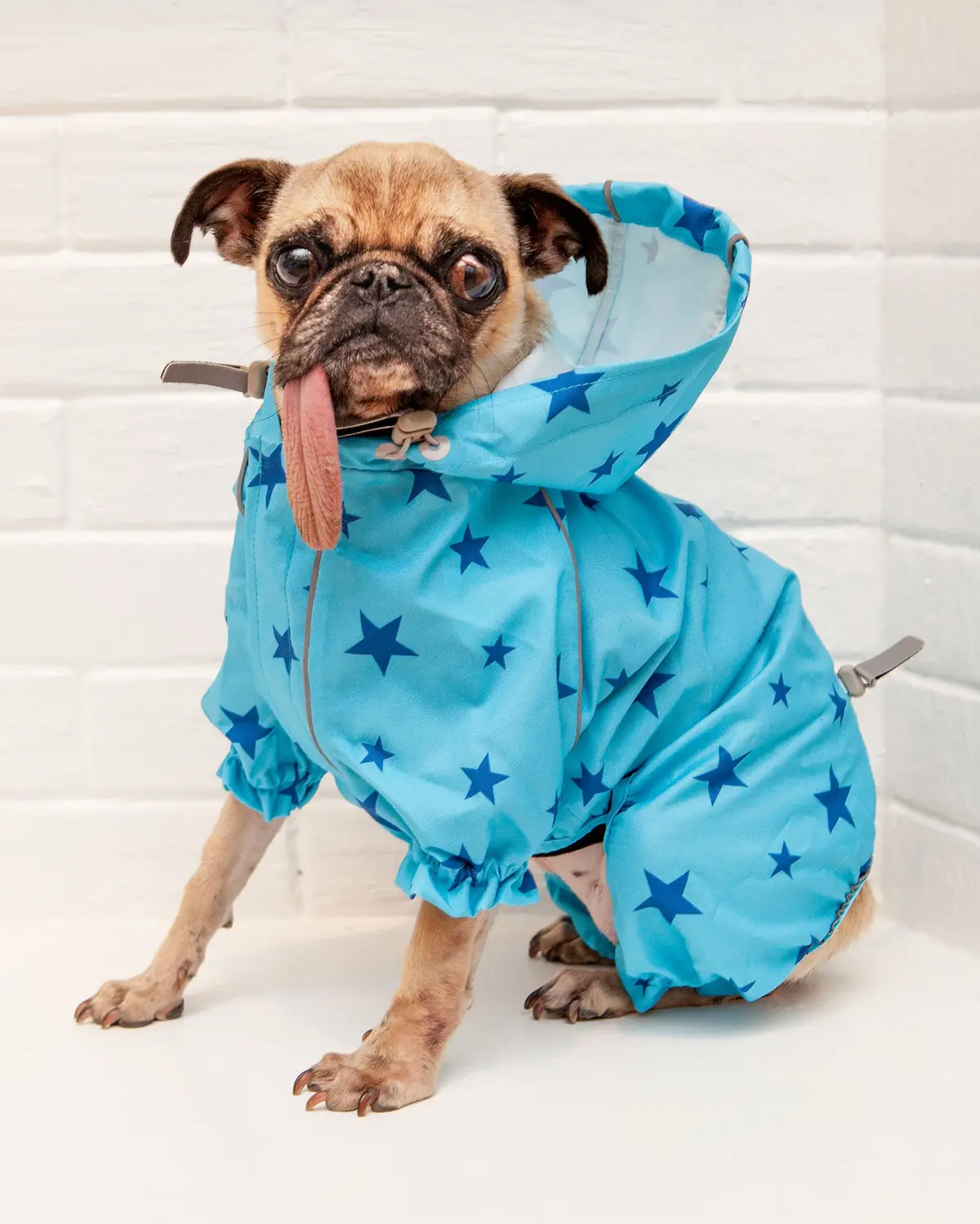 Reflective Dog Rainsuit In Blue Stars << Final Sale >> 1