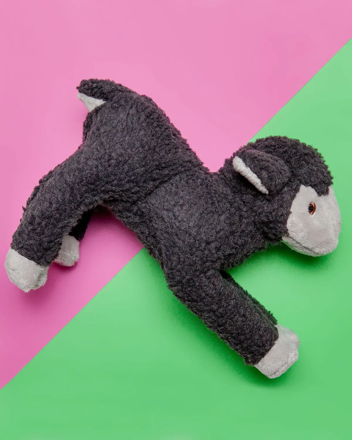 Mary Lamb Plush Dog Toy 1