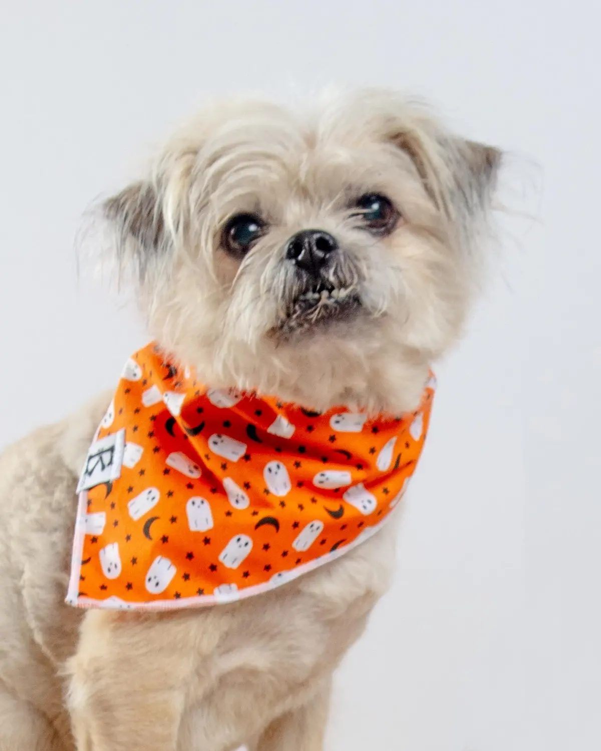 "Boo-Tiful Nights" Orange Ghosts Halloween Dog Bandana (Made In The Usa) 1