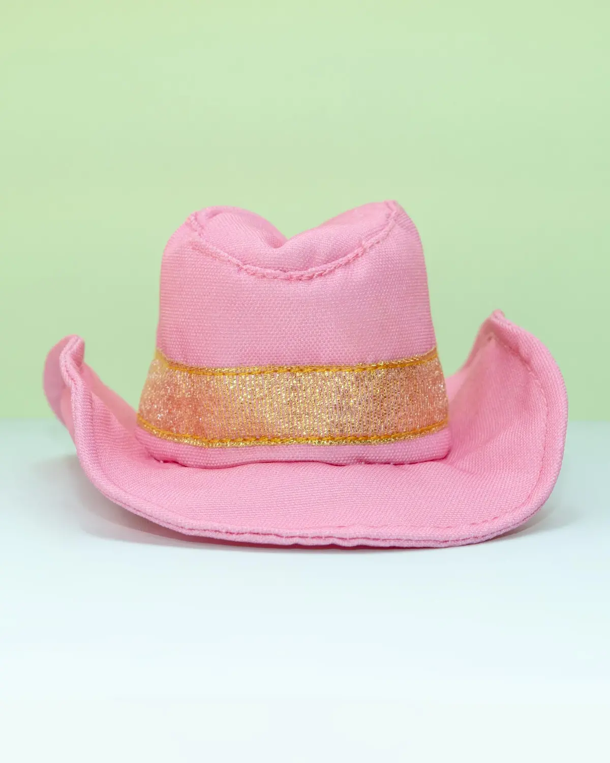 Cowboy Dog Hat Toy (Final Sale) 2