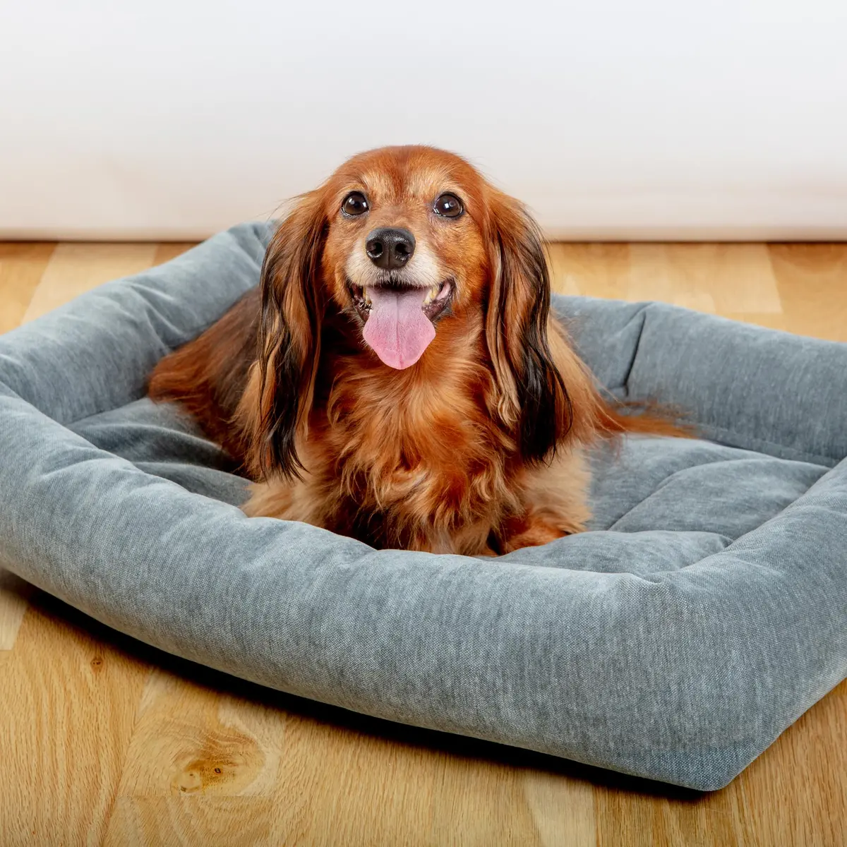 Tango Dog Bed In Mineral Grey (Made In Canada) 1