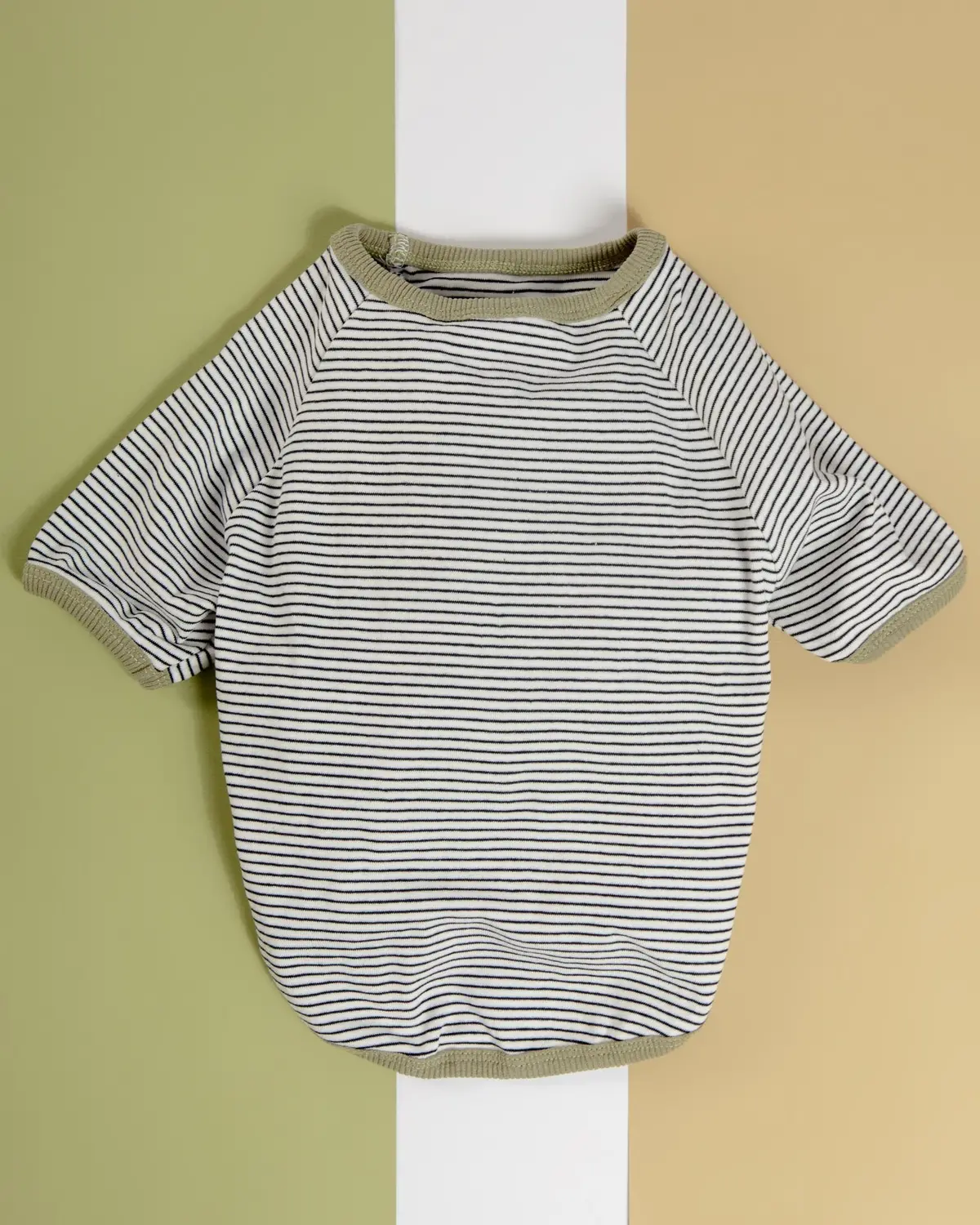 Rib Dog T-Shirt In White & Sage Stripe (Clearance) 1