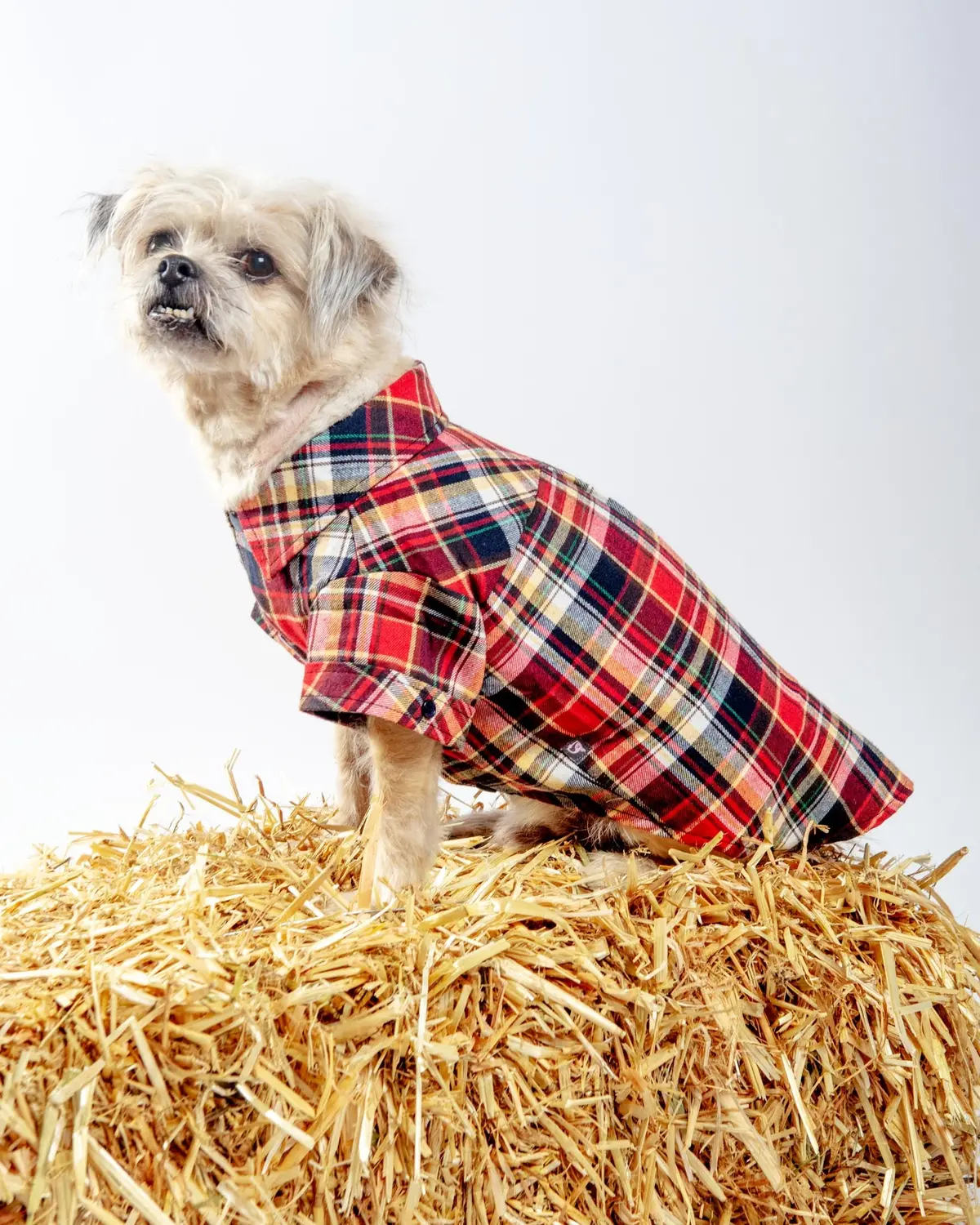 Flannel Plaid Button Down Shirt In Red (Final Sale) 1