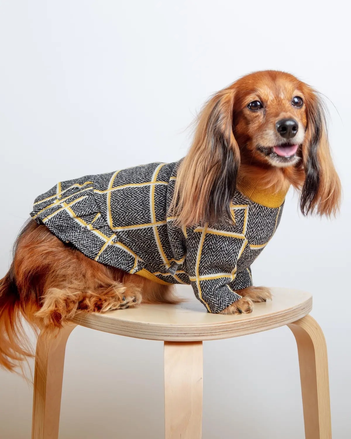 Check Dress For Dogs In Mustard Yellow (Final Sale) 1