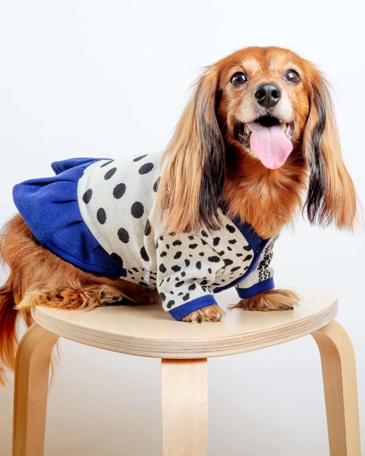 Dalmatian Dot Cardigan Dress (Final Sale) 1