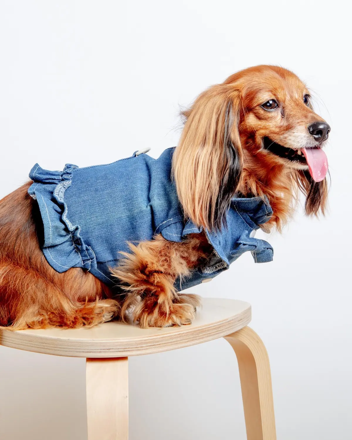 Darling Denim Ruffle Harness Top (Clearance) 1