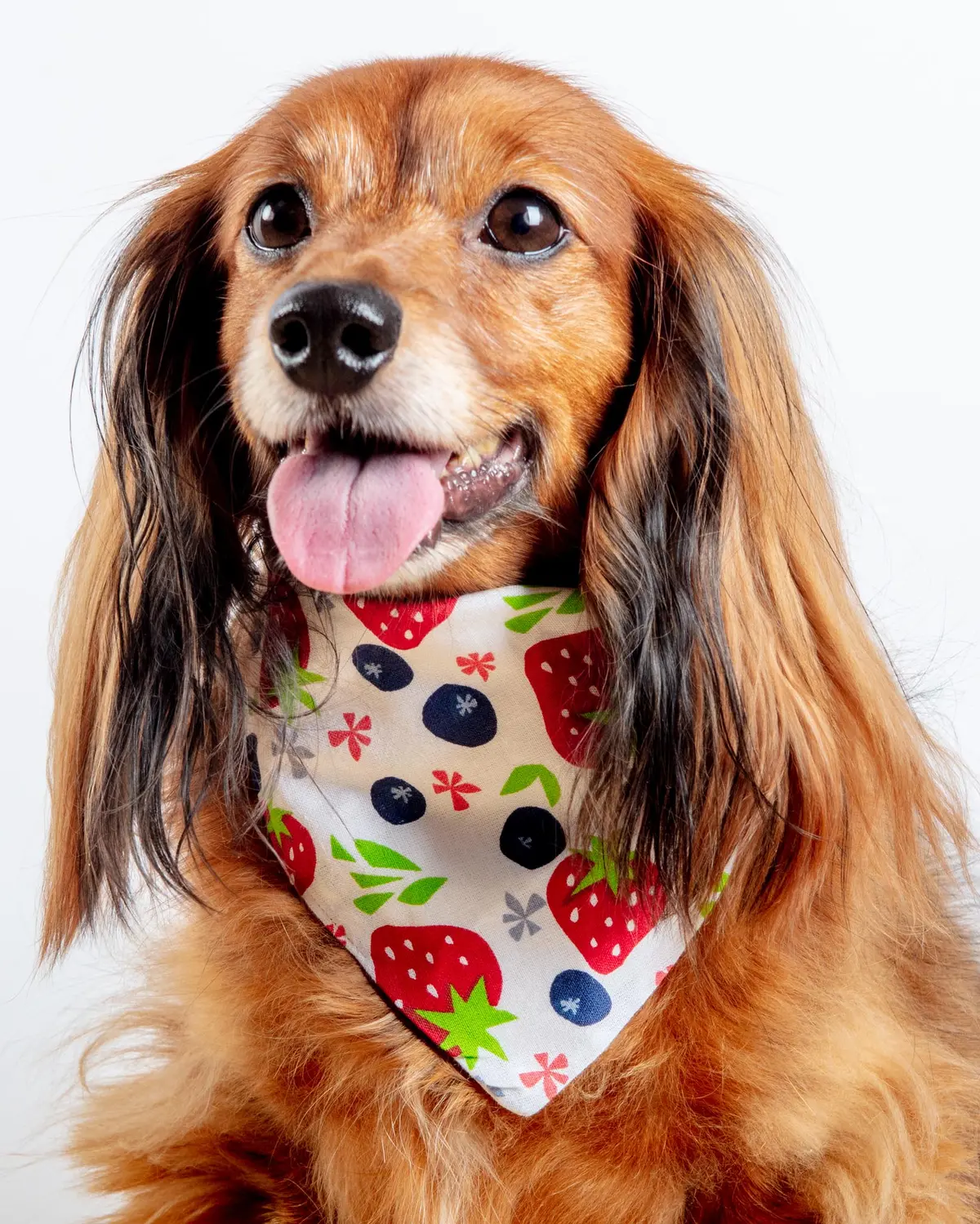 Berries & Cream Bandana<Br>(Made In The Usa) (Final Sale) 1