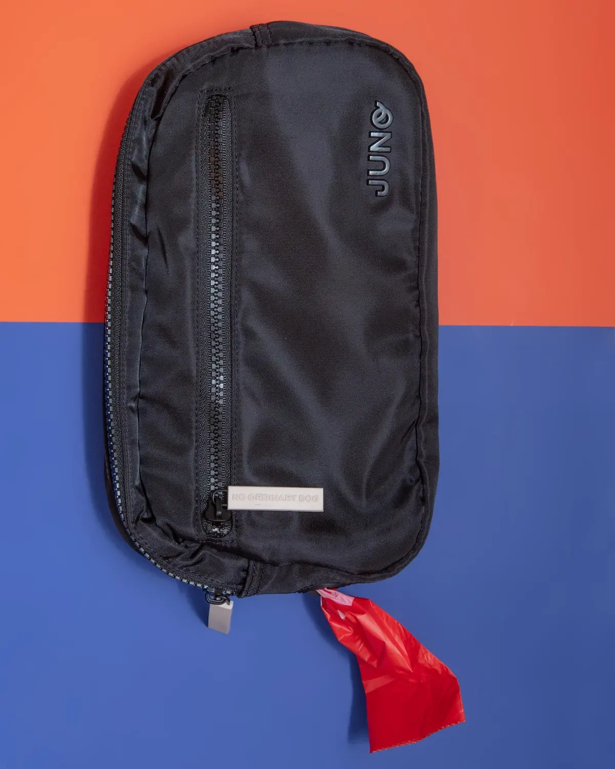 Doggy Dash Pack Bag 1