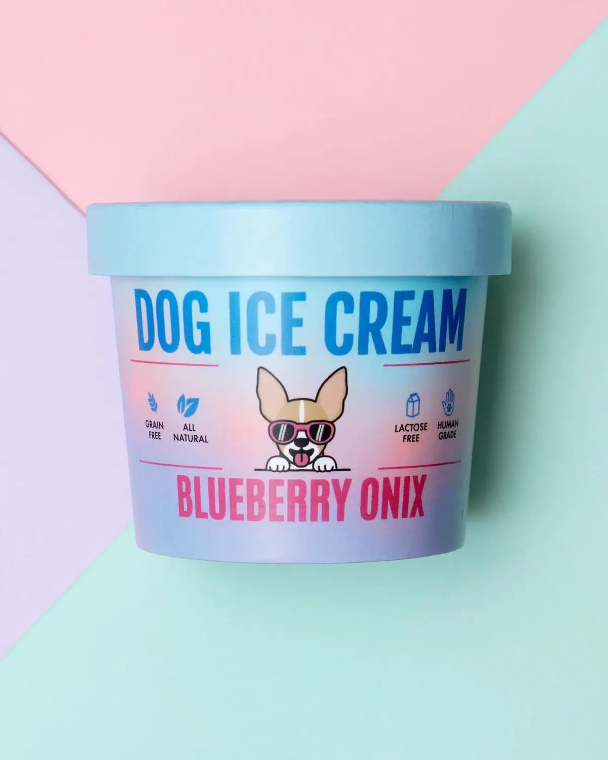 Blueberry Onix Human Grade Dog Ice Cream Mix (Lactose-Free) 1
