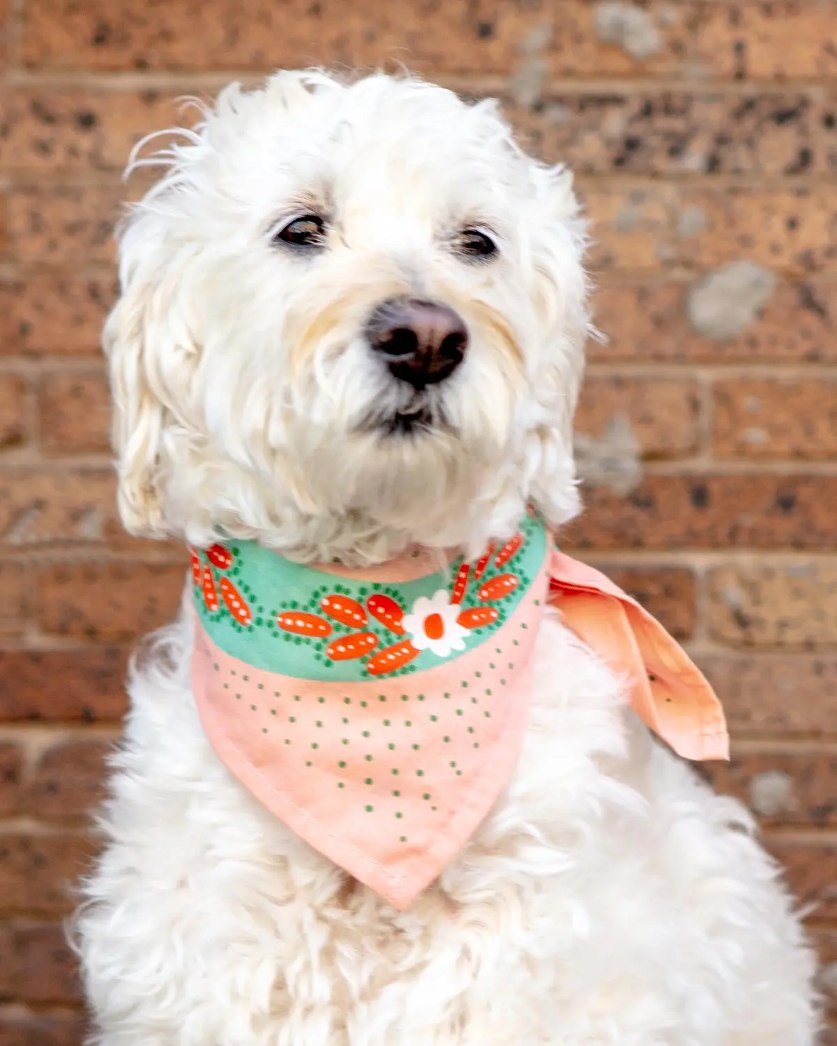 Snakes Bandana For Human & Dog (22"X22") (Final Sale) 1