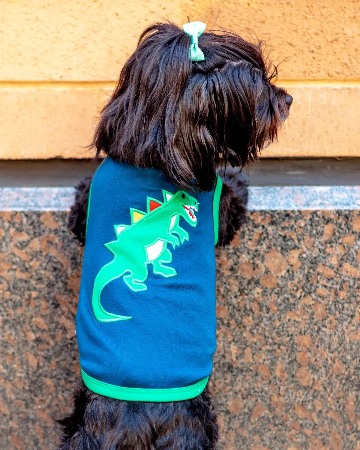 Dino Dog Tee (Final Sale) 1