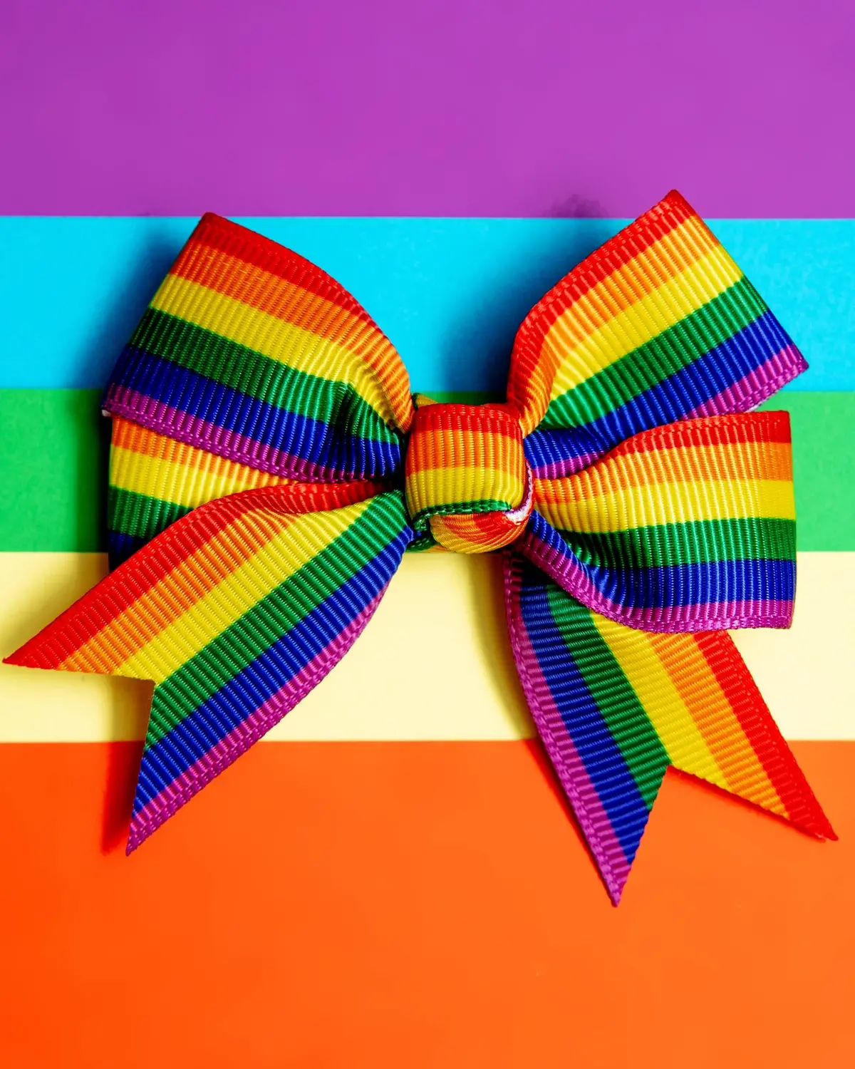 Rainbow Pet Hair Clip (Single) (Final Sale) 1