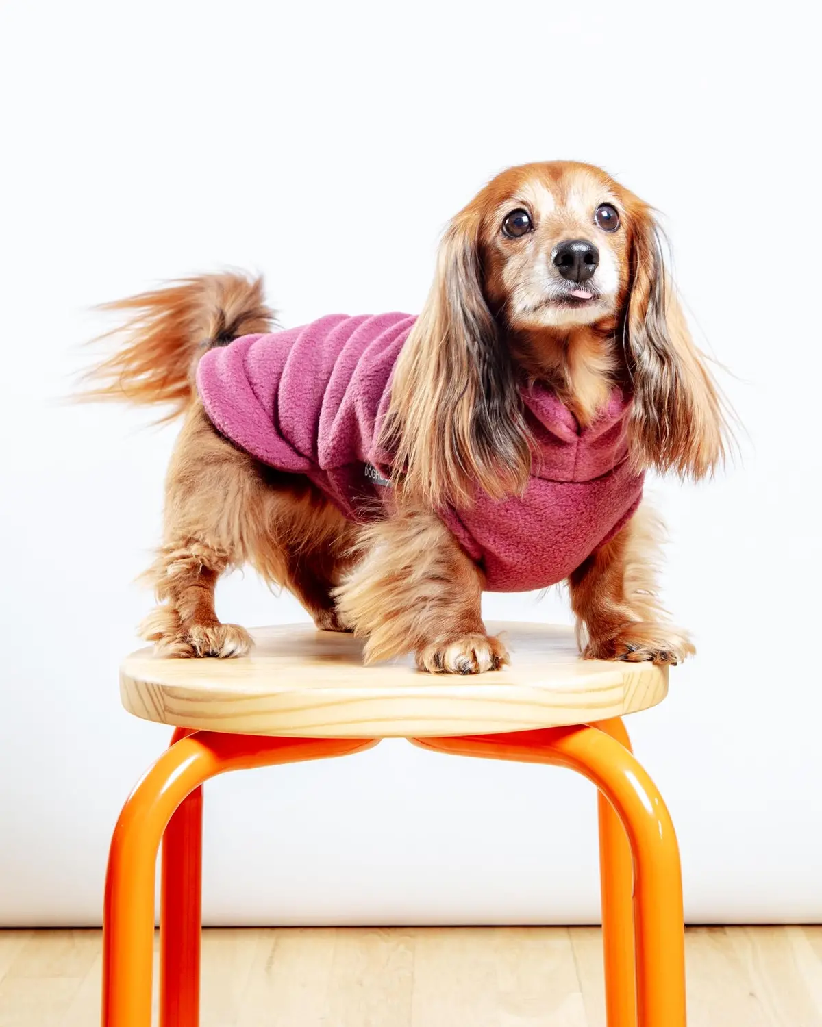 Dachshund Fleece Jumper In Dusty Rose (Made In The Uk) 1