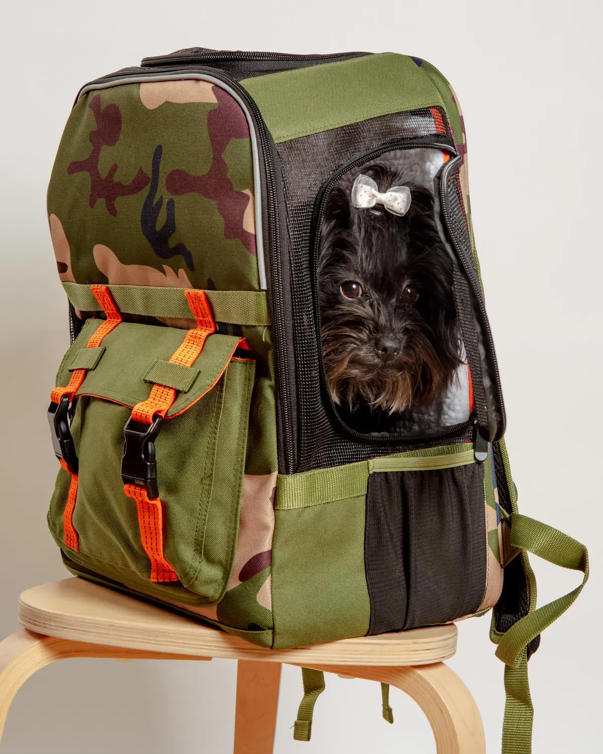 Ready-For-Adventure Pet Backpack (Airline Compliant) 1