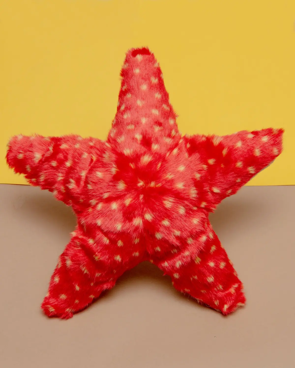 Ziggy Starfish Plush Dog Toy 1