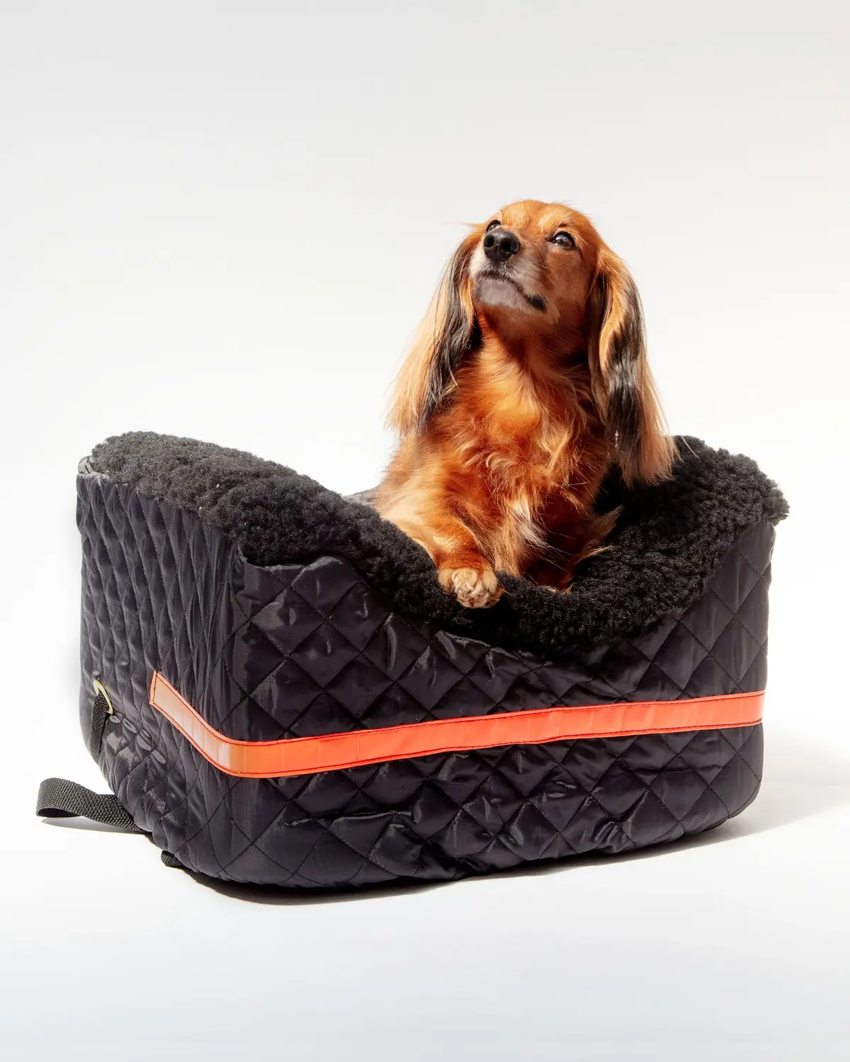 Dog Rider Bicycle Seat Bed << Final Sale >> 1