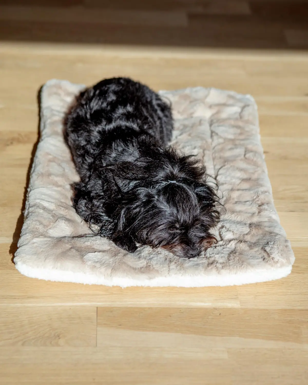 Minky Faux Fur Fleece Pet Napping Mat In Latte (Made In The Usa) 1