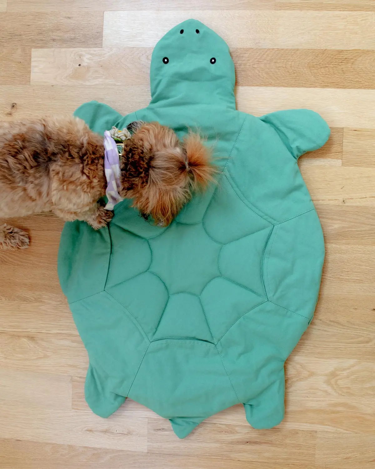 Turtle Dog Enrichment Playmat (37" X 24") 1