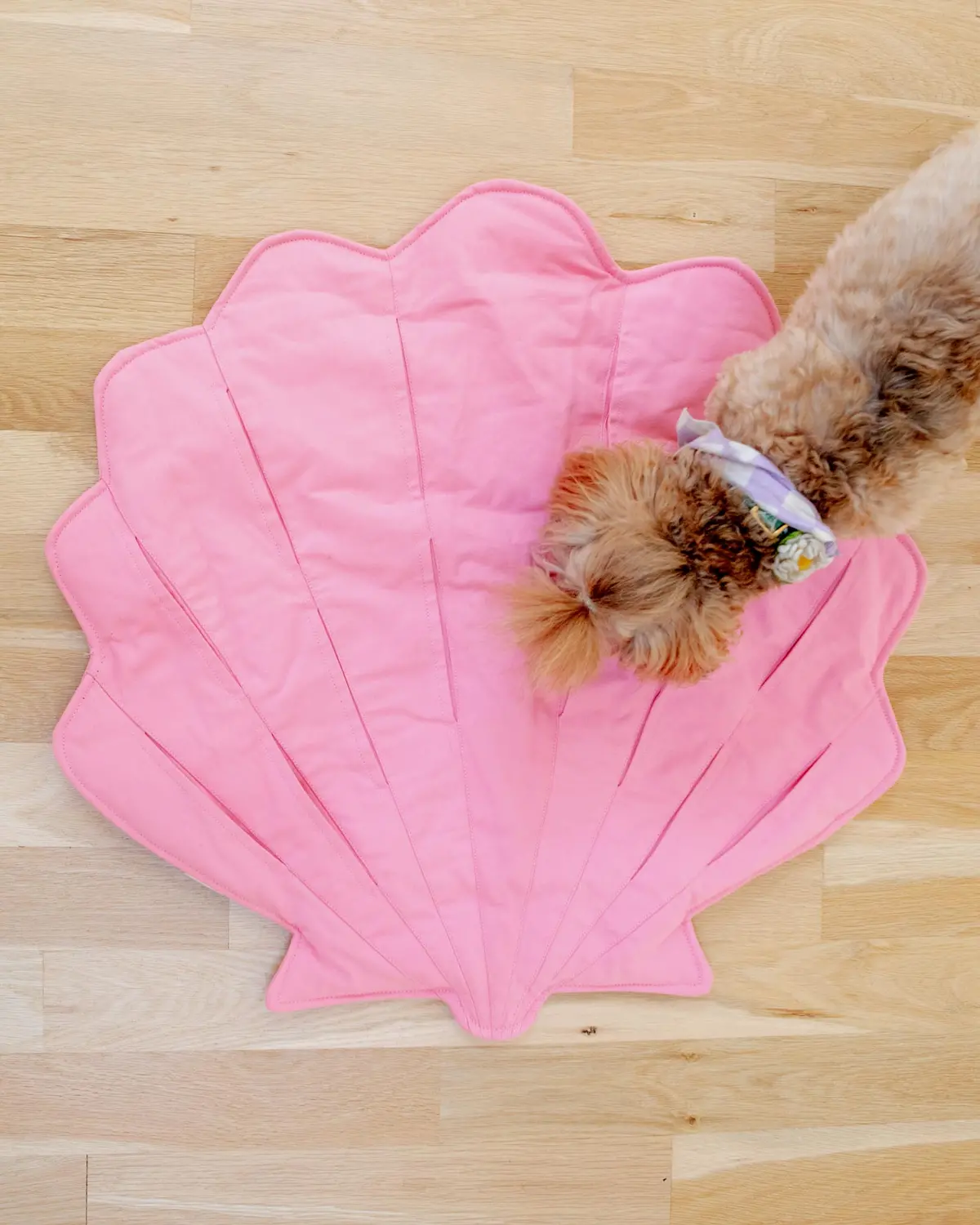 Seashell Dog Enrichment Playmat (30" X 22") 1