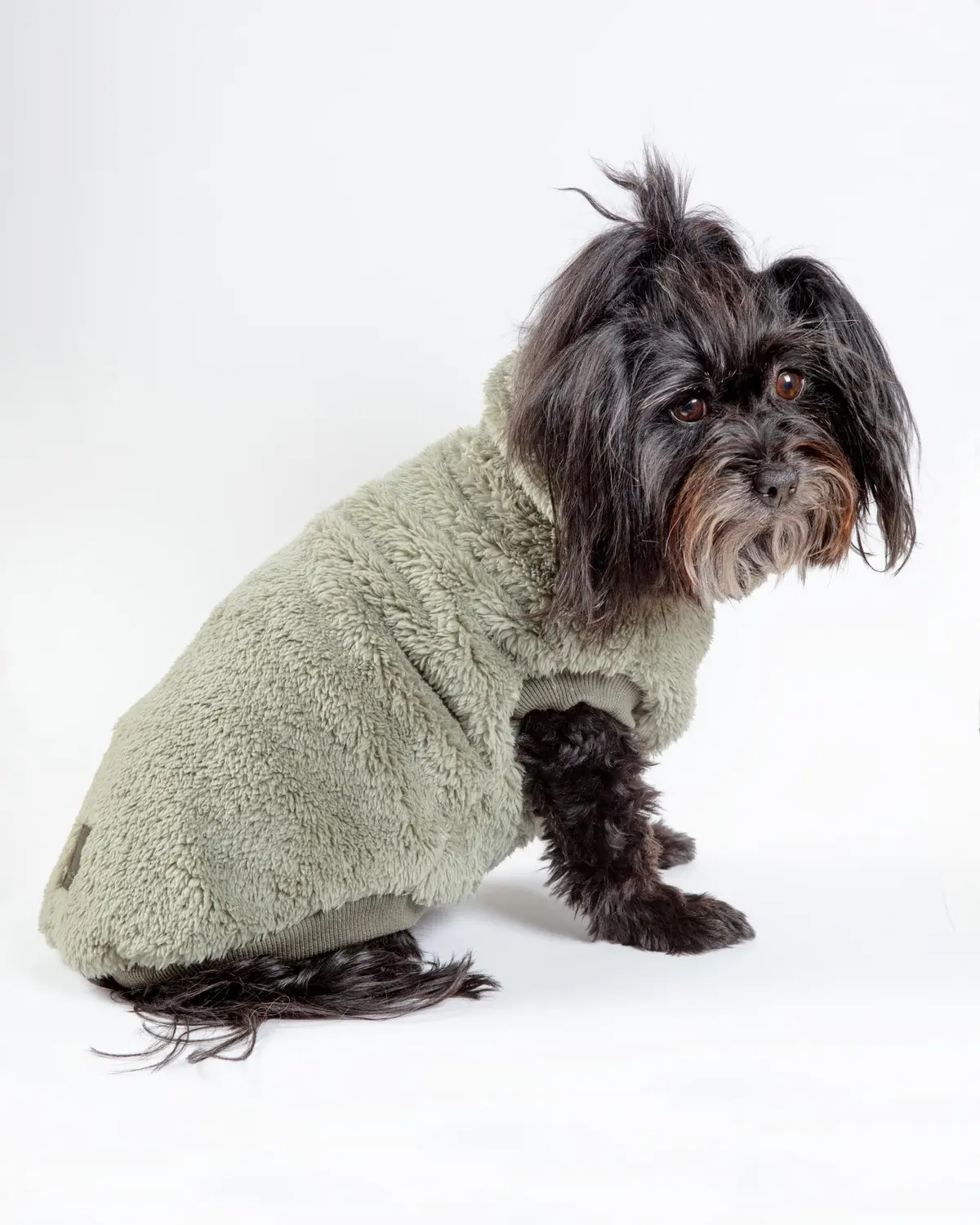 Turtle Teddy Dog Fleece In Rosemary (Final Sale) 1